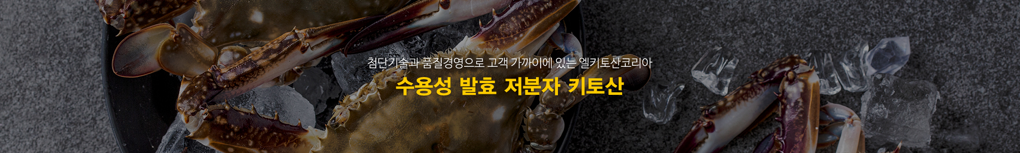 (주)엘키토산코리아_공통상단